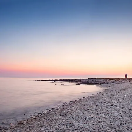 Gorgeous In Near Sea